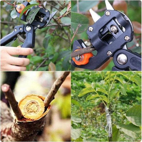 Cleste profesional de altoit la trusa MX517