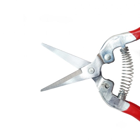 Foarfeca de cules legume, fructe, 70mm MX341