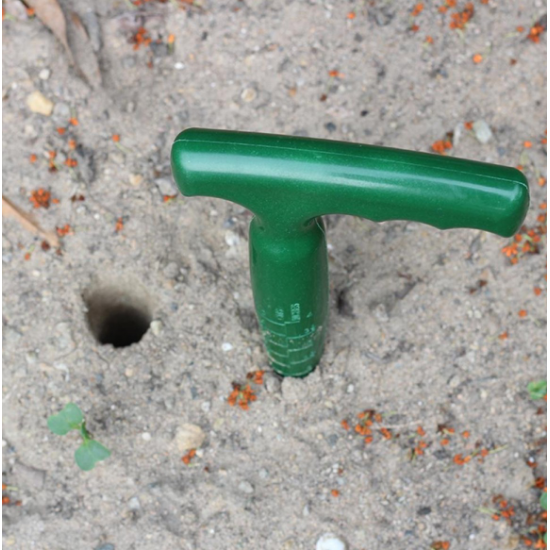 Plantator verde din plastic pentru bulbi MX798